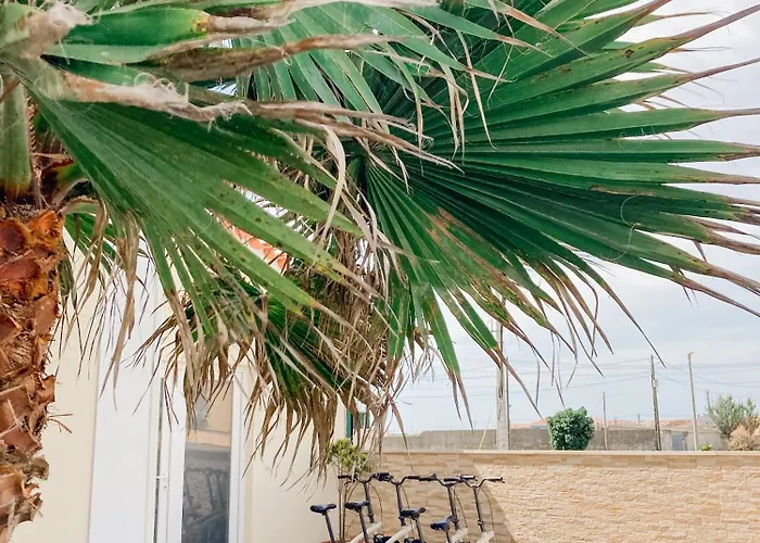 In My House Baleal 4* フェレル